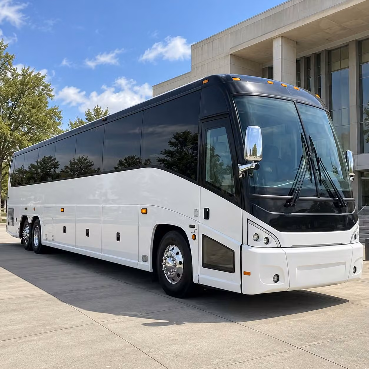 elizabeth little league and youth sports team transportation made simple